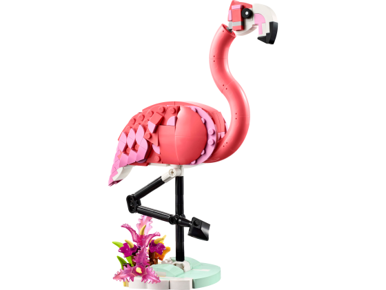 Wilde dieren: roze flamingo